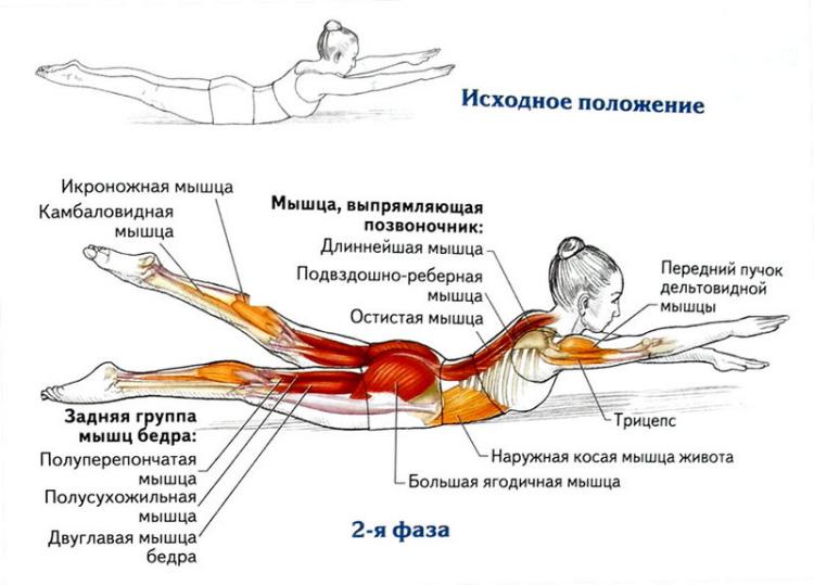 Омолаживающие 8 упражнений для укрепления спины Омолаживающие 8 упражнений для укрепления спины