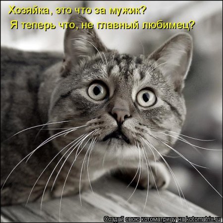 ��������� ����������� ������������..