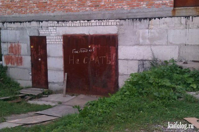 Русские маразмы за неделю (55 фото) Русские маразмы за неделю (55 фото)