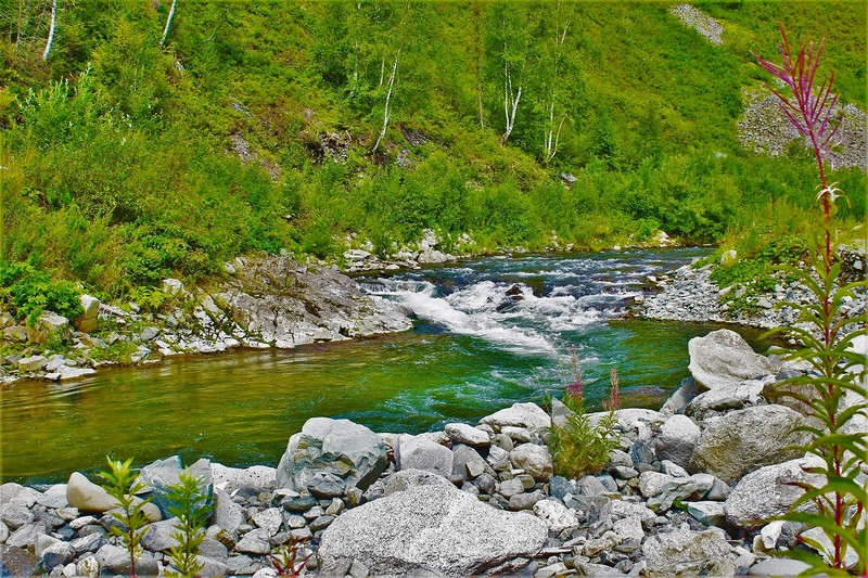 IMG_7410.JPG Горная речка IMG_7410.JPG Горная речка