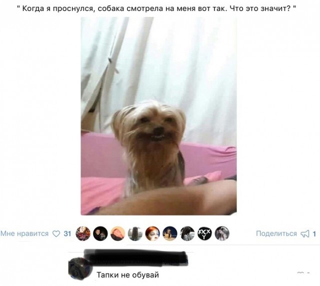 Забавные картинки и юмор из социальных сетей (24 скриншота)