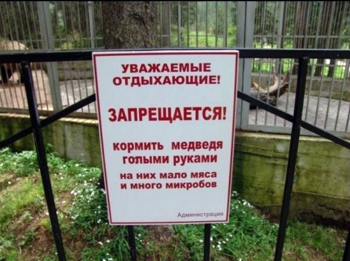Забота о медведях. Забота о медведях.