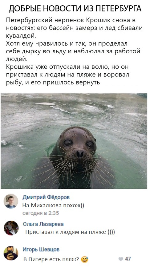 Забавные картинки и юмор из социальных сетей (24 скриншота)