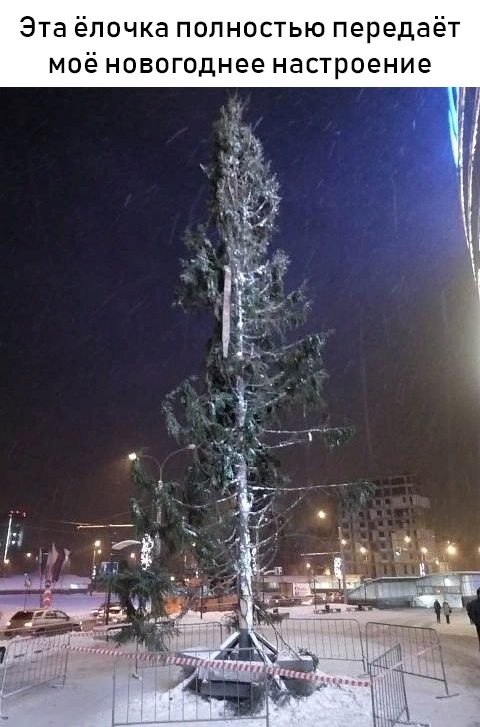 Новогодние приколы. Класс! Новогодние приколы. Класс!