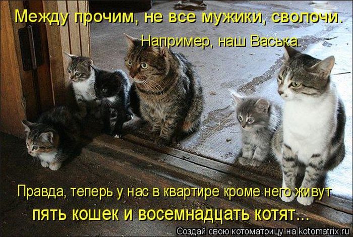 Самые весёлые котоматрицы)) Самые весёлые котоматрицы))