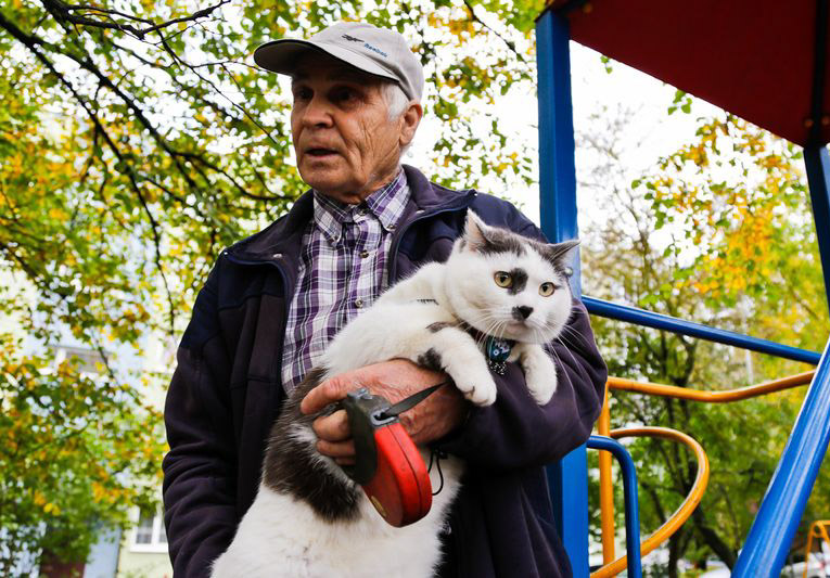 Хозяину кота предлагали за него почти полмиллиона и машину. Мужчина ответил отказом