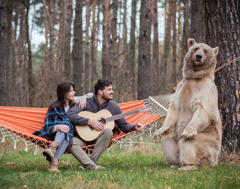 Самый суровый русский фотограф Самый суровый русский фотограф Ольга Баранцева, животные, люди, медведь, милота, фотограф