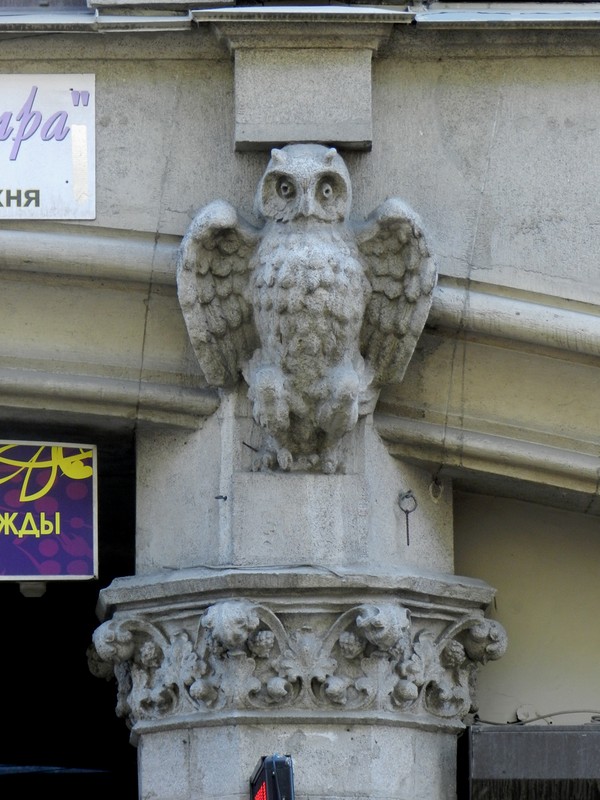 Совы Петербурга Совы Петербурга