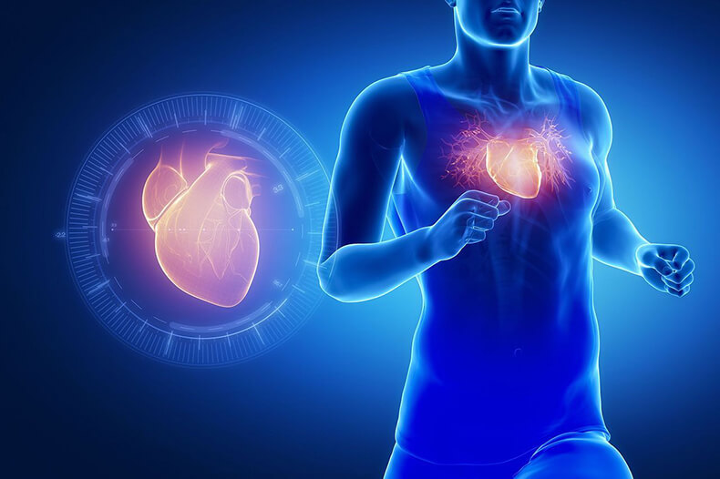 Почему сердцу необходимы селен, CoQ10 и витамин K2