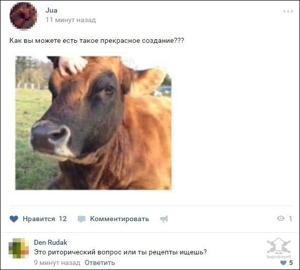 Смешные комментарии из социальных сетей Смешные комментарии из социальных сетей