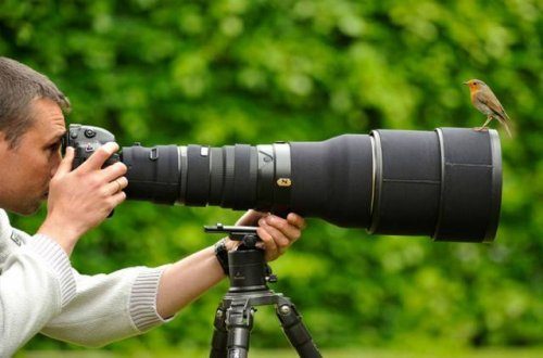 Фотографы дикой природы