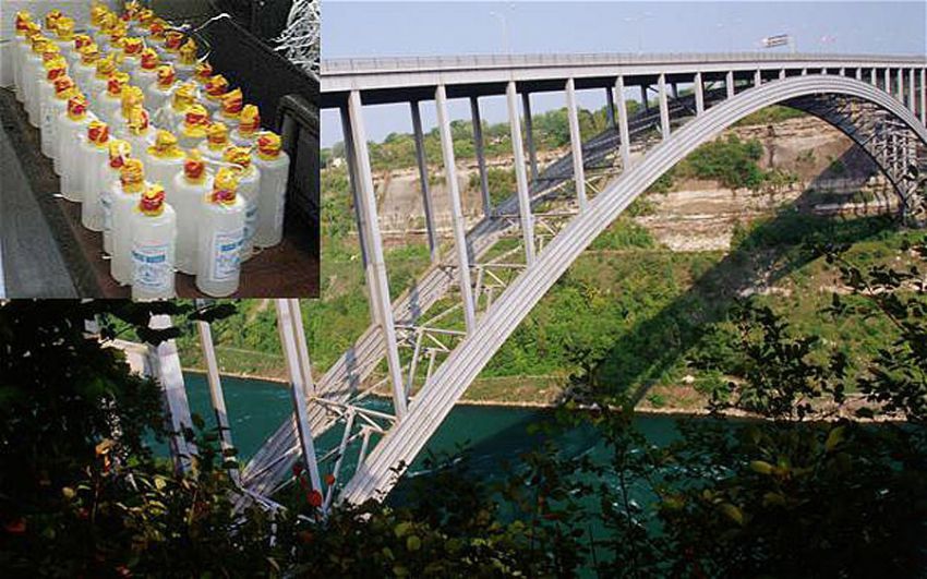 конфискация, животные, багаж, таможня