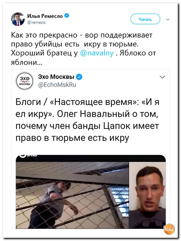 Обзор ситуации в мире с сарказмом и ехидной улыбкой Обзор ситуации в мире с сарказмом и ехидной улыбкой