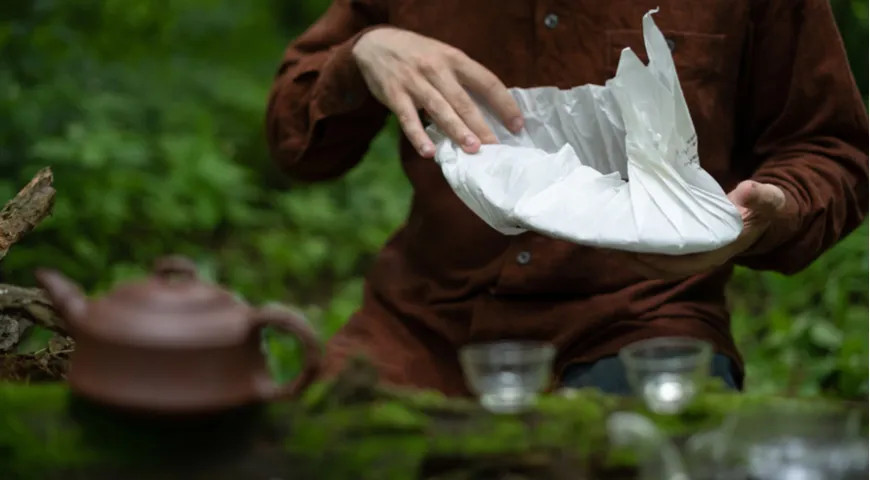 «Если долго пить чай, могут вырасти крылья». Лу Юй, китайский поэт и писатель времён империи Тан