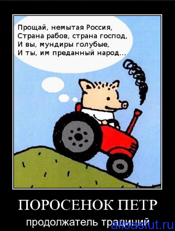 Кандидат в Зелинские: канадский русофоб актёр Серебряков