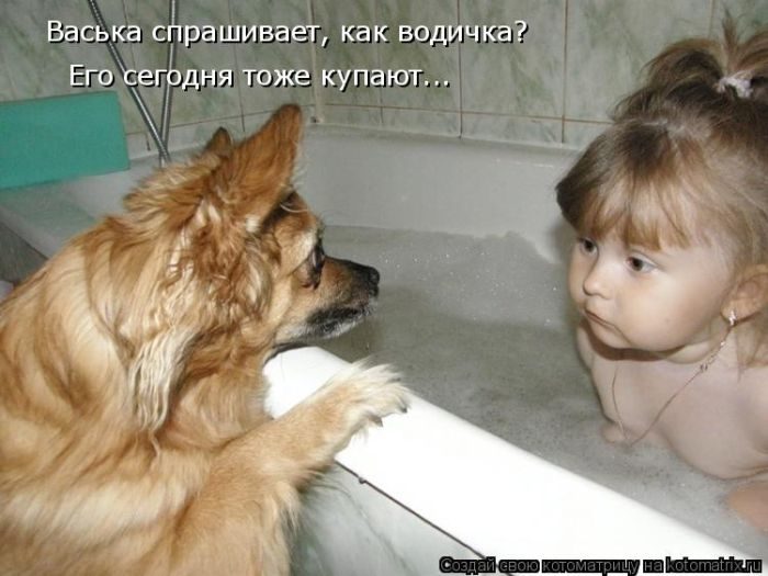 Самые весёлые котоматрицы)) Самые весёлые котоматрицы))