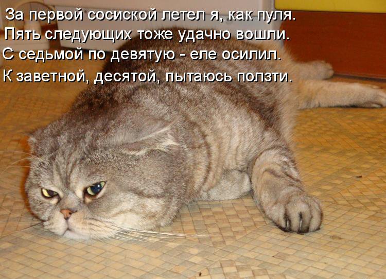 КОТЭ как есть КОТЭ