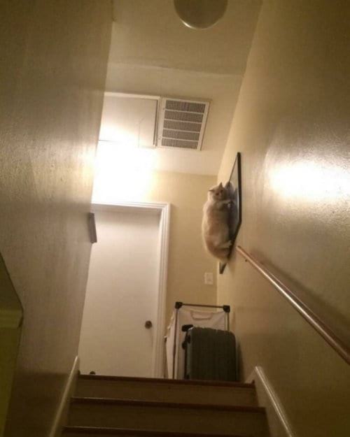 %image_alt%