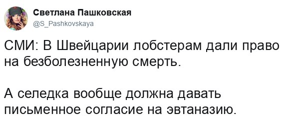 Злобные (сарказм) комментарии о последних событиях в мире Злобные (сарказм) комментарии о последних событиях в мире