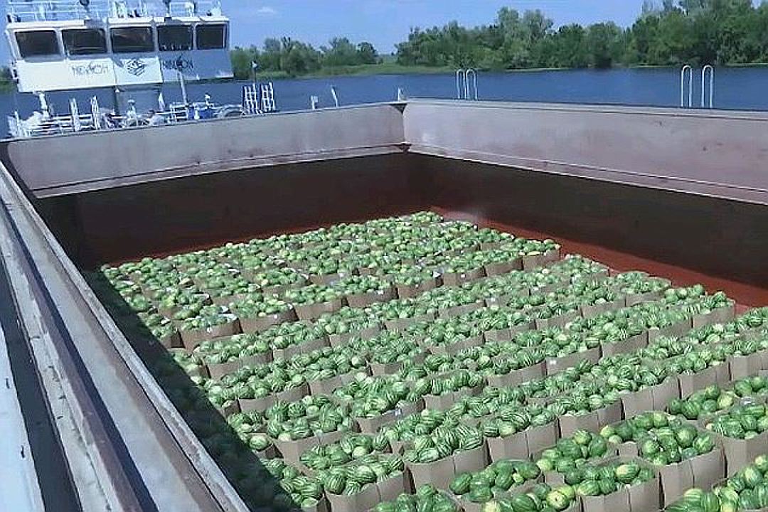 «На одного лидера ватников стало меньше», - пишут киевляне в соцсетях на смерть Бережной и покупают арбузы