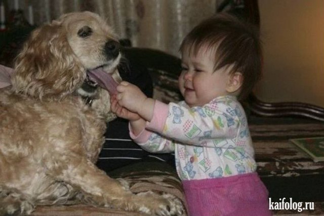 Чудо в перьях (45 фото) Чудо в перьях (45 фото)