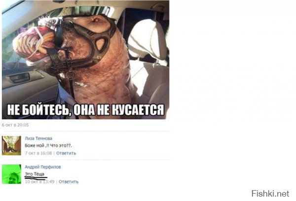 Шедевральные приколы из соцсетей от народных юмористов Шедевральные приколы из соцсетей от народных юмористов