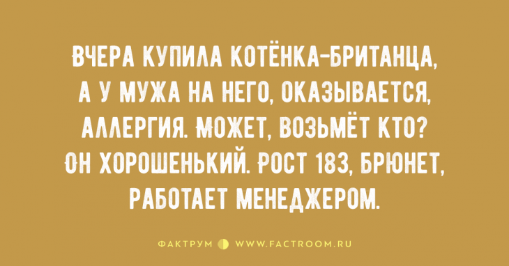 15 классных анекдотов, над которыми можно смеяться бесконечно 15 классных анекдотов, над которыми можно смеяться бесконечно