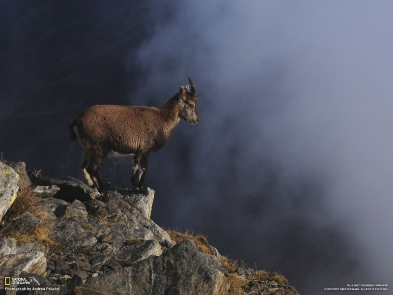 Подборка замечательных фотографий от National Geographic