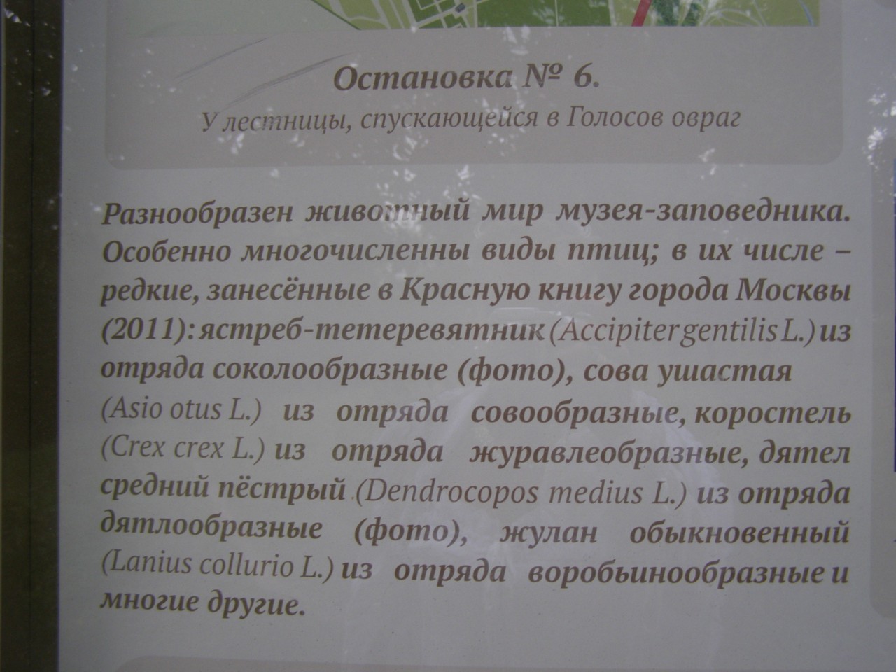 Прогулки по Коломенскому. Храм Усекновения главы Иоанна Предтечи. Голосов овраг. Прогулки по Коломенскому. Храм Усекновения главы Иоанна Предтечи. Голосов овраг.