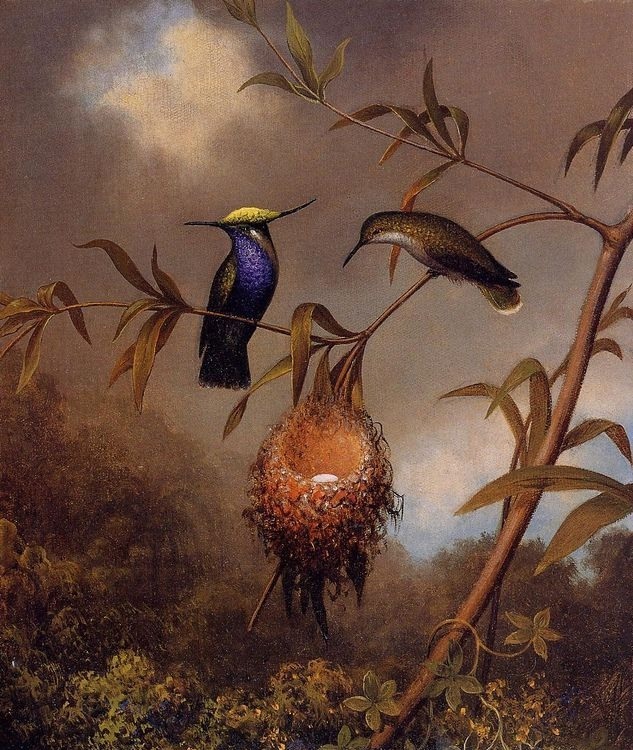 Цветы на картинах Martin Johnson Heade