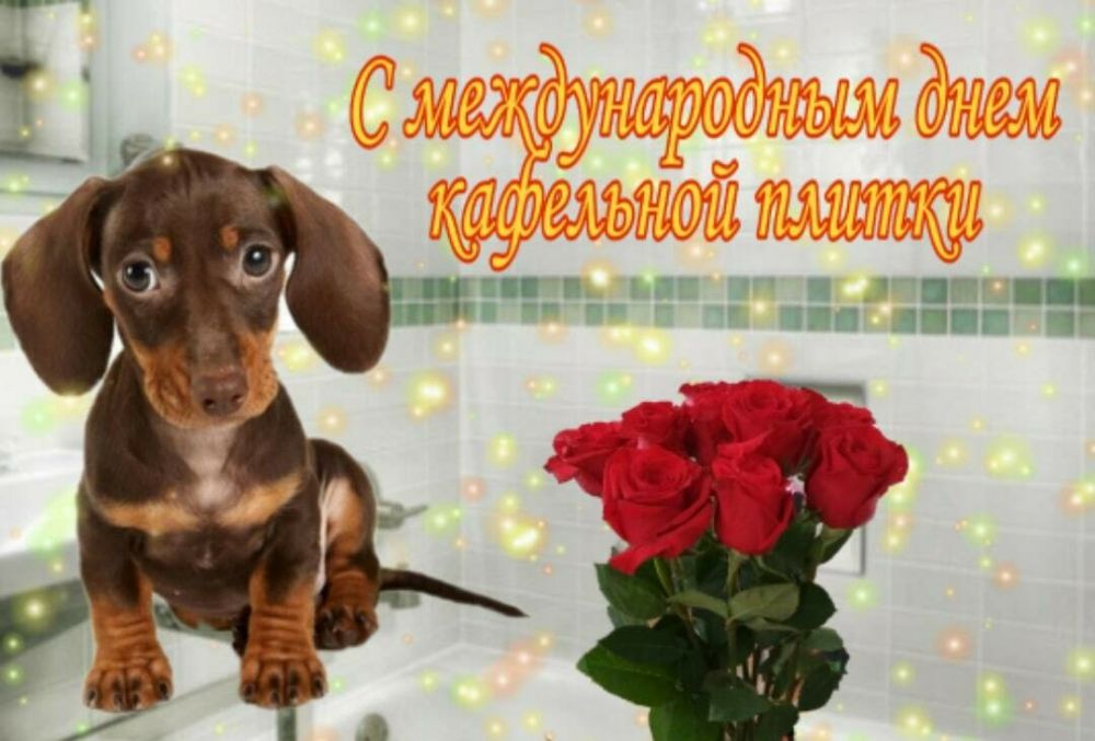 10 упоротых открыток с поздравлениями из WhatsApp