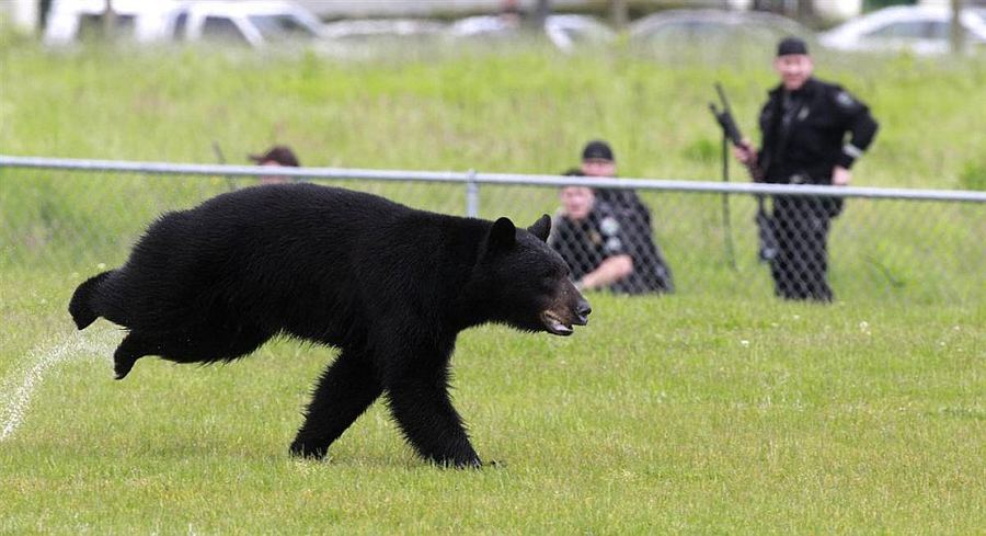 Бесподобные фотографии живой природы.... Хороших выходных!!!