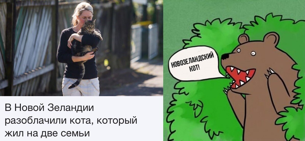 Прикольные картинки с надписью до слез (11 фото) Прикольные картинки с надписью до слез (11 фото)