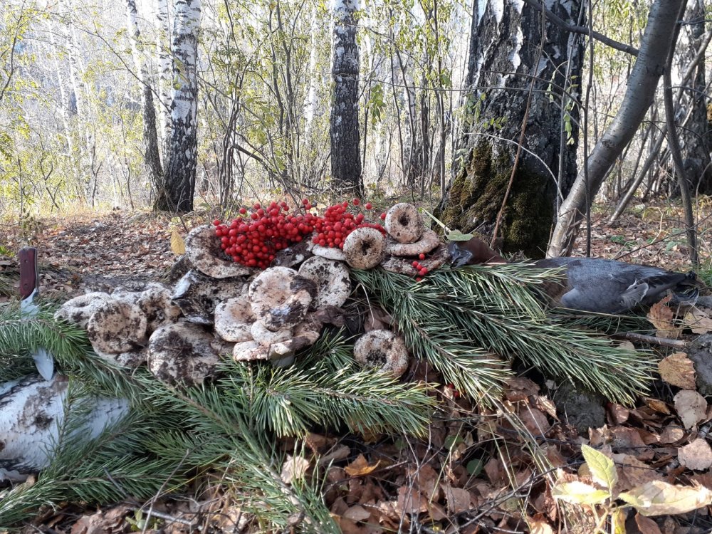 "Бабье Лето"...... , или золотой октябрь