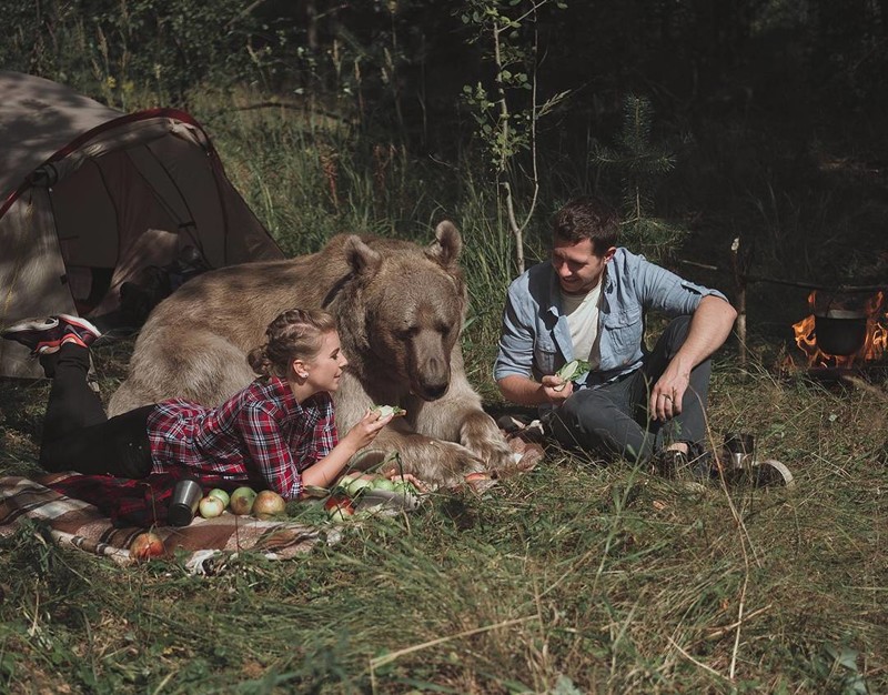 Самый суровый русский фотограф Самый суровый русский фотограф Ольга Баранцева, животные, люди, медведь, милота, фотограф