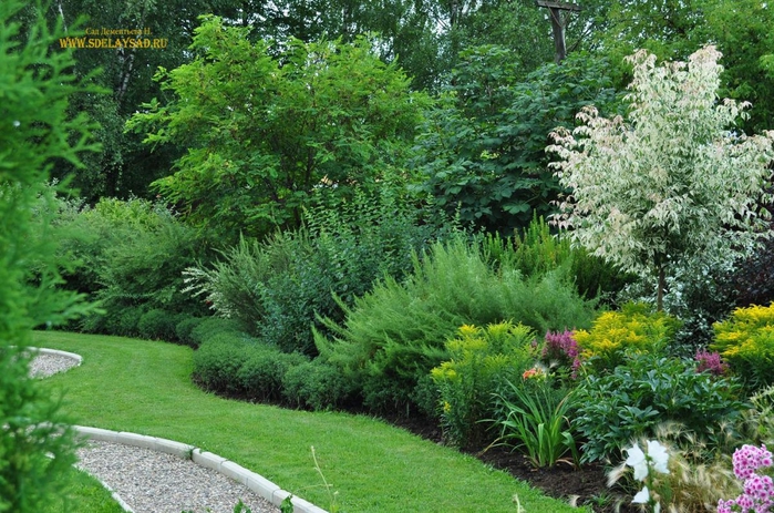 ��� ������� ����������