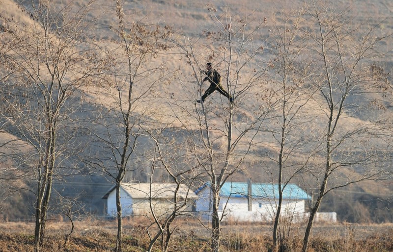 17. Северный корейский солдат лазит по деревьям на границе с Китаем, 25 ноября 2010. (ФотоFrederic J. Brown): Тоталитаризм, гранциа, китай, севераня корея