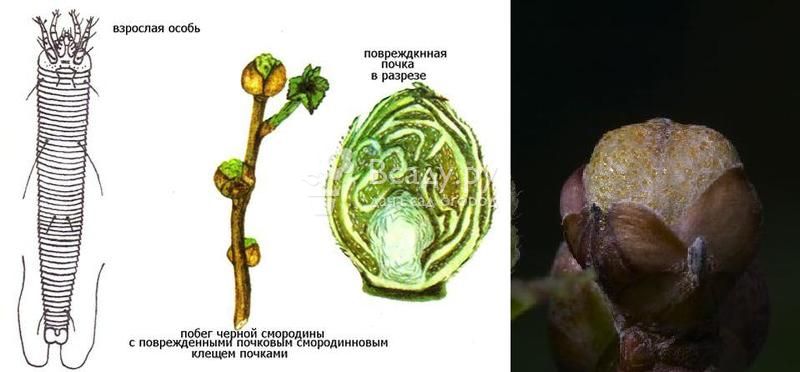 ������� � �������� ������ � ���. ��� ��������� �� ������ ���������� ������