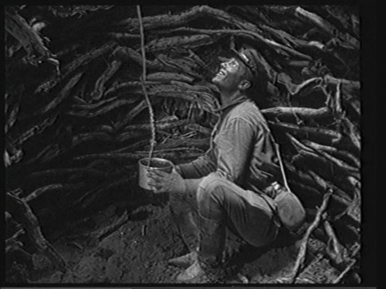 ��� �������� � ���� ������ ������� ��������, ����, ������