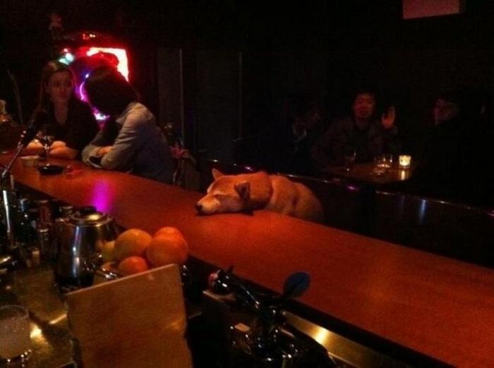 Давайте улыбаться вместе