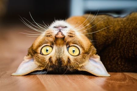 https://drscdn.500px.org/photo/137920903/q%3D80_h%3D300/18487e5a743ff6dfa89f79285ab9286f