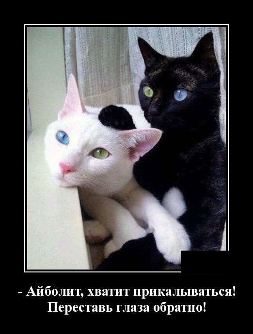 Демотиваторы Демотиваторы
