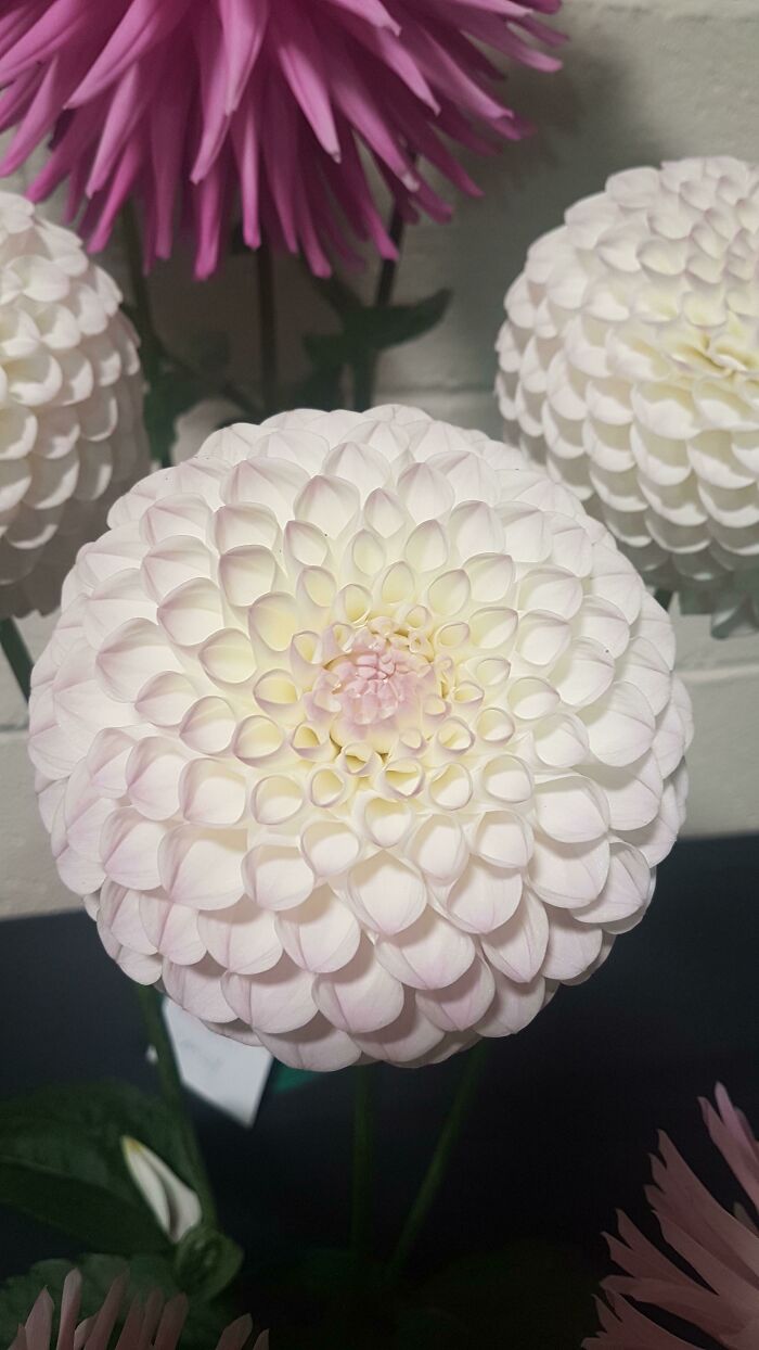 Bigpicture.ru nature - the most talented artist symmetry nature 30