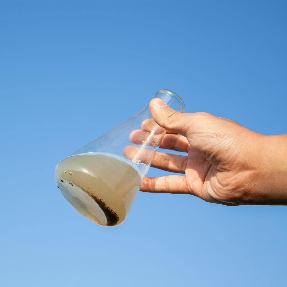 �������� ��������� ������