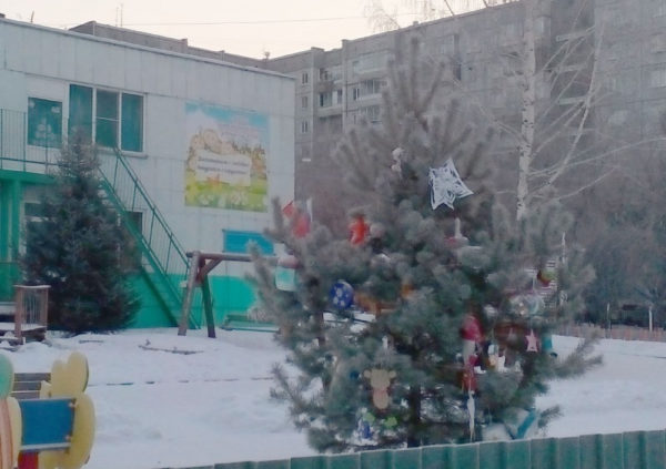 Ёлочный сезон заканчивается Ёлочный сезон заканчивается