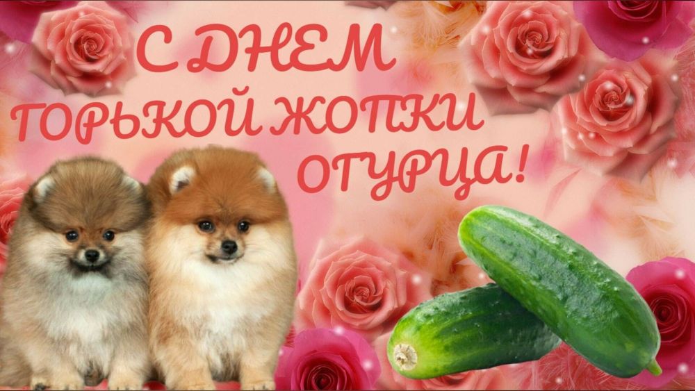 10 упоротых открыток с поздравлениями из WhatsApp