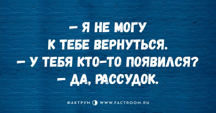 Улётная десятка анекдотов, повышающая настроение Улётная десятка анекдотов, повышающая настроение