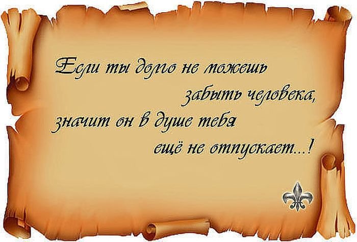 Афоризмы про смысл жизни и любви Афоризмы про смысл жизни и любви
