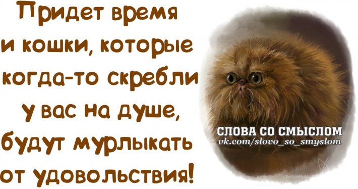 Прикольные фразочки в картинках (25 фразочек)