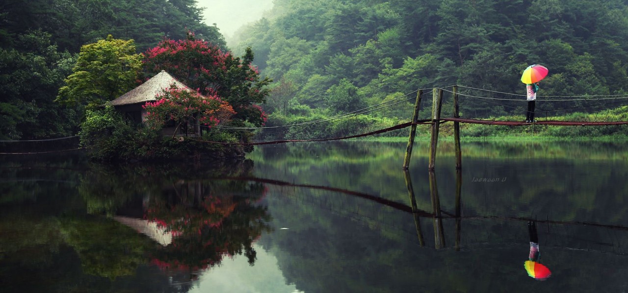 Green day by Jaewoon U on 500px